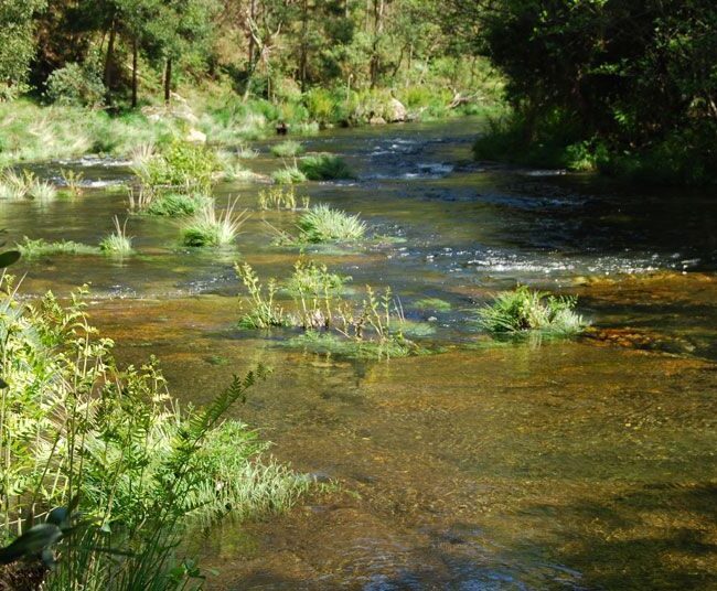 Rio Sor Grande Entorno Porto Baquero - Rio Sor pesca