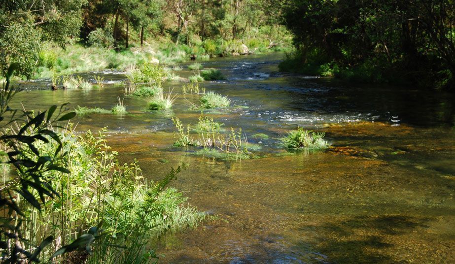 Entorno Porto Baquero - Rio Sor pesca